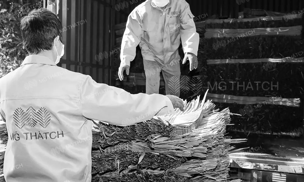 palma sintética - envío - Palma sintética - MGTHATCH palma sintética - envío